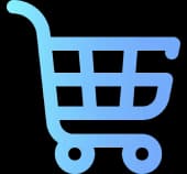 Ecommerce SEO
